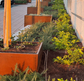 corten Steel planter pot